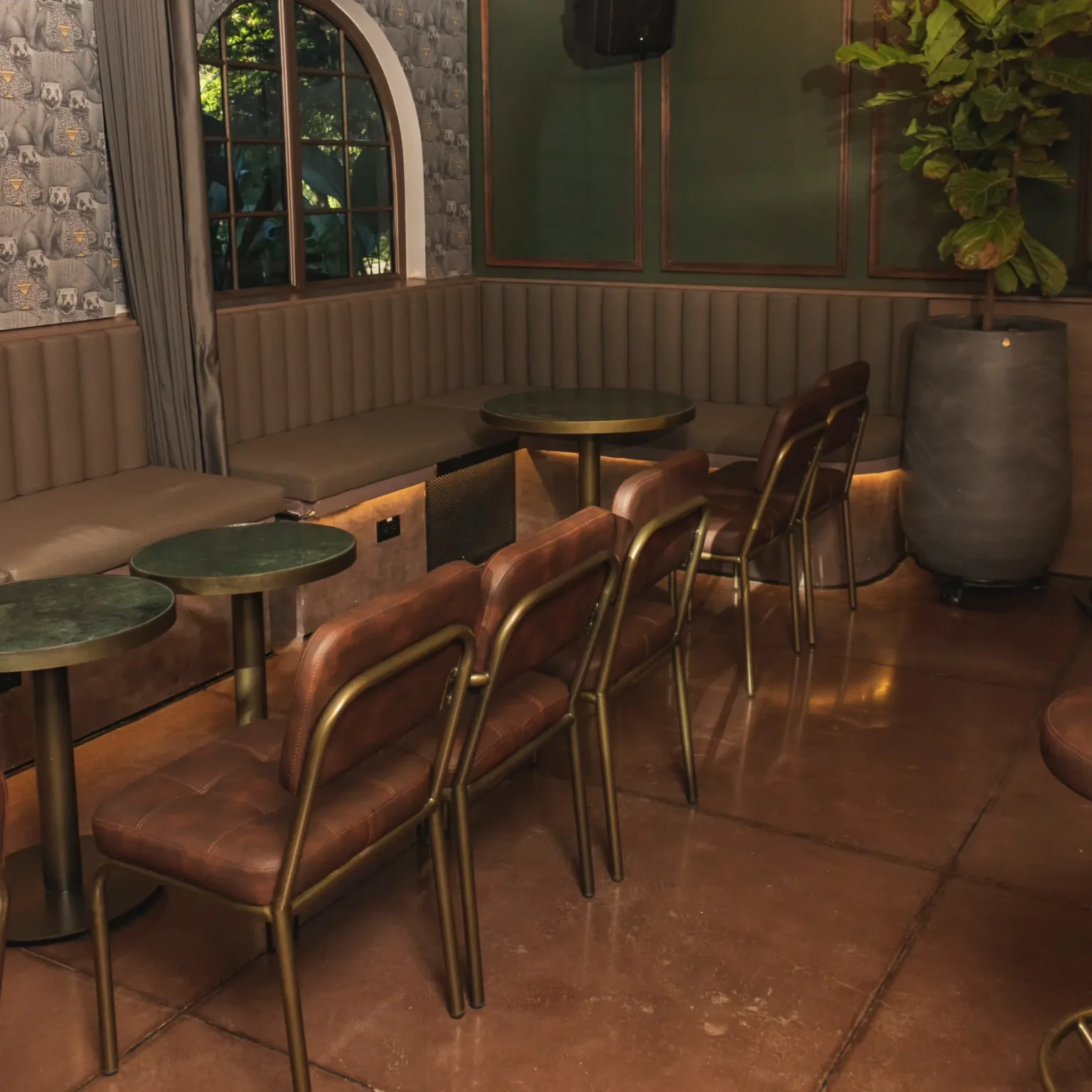 Proyecto Mangosta